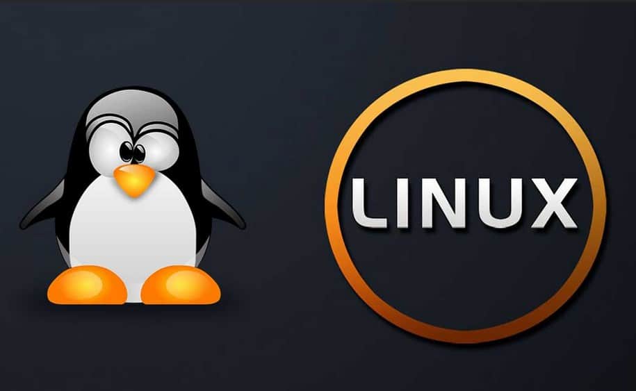 Pertimbangan Dalam Menggunakan Sistem Operasi Linux