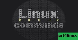 Perintah Dasar Linux untuk Memeriksa Informasi Hardware dan Sistem